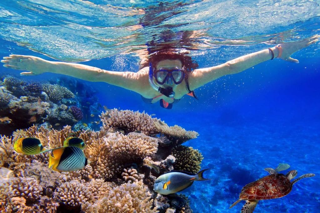 🏖️ 7 Best Places to Visit in Nha Trang: Your Ultimate Coastal Paradise Guide 3 Hon Mun Island