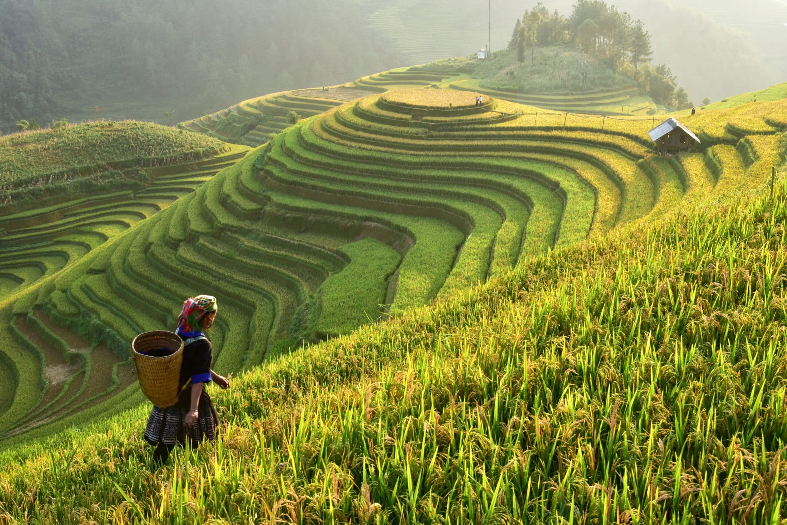 🏔️ 7 Best Places to Visit in Sa Pa: Your Ultimate Misty Mountain Guide 1 route vietnam