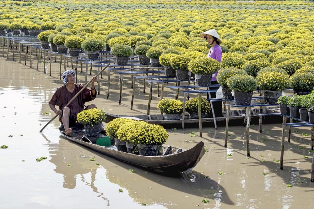 Làng hoa Sa Dec