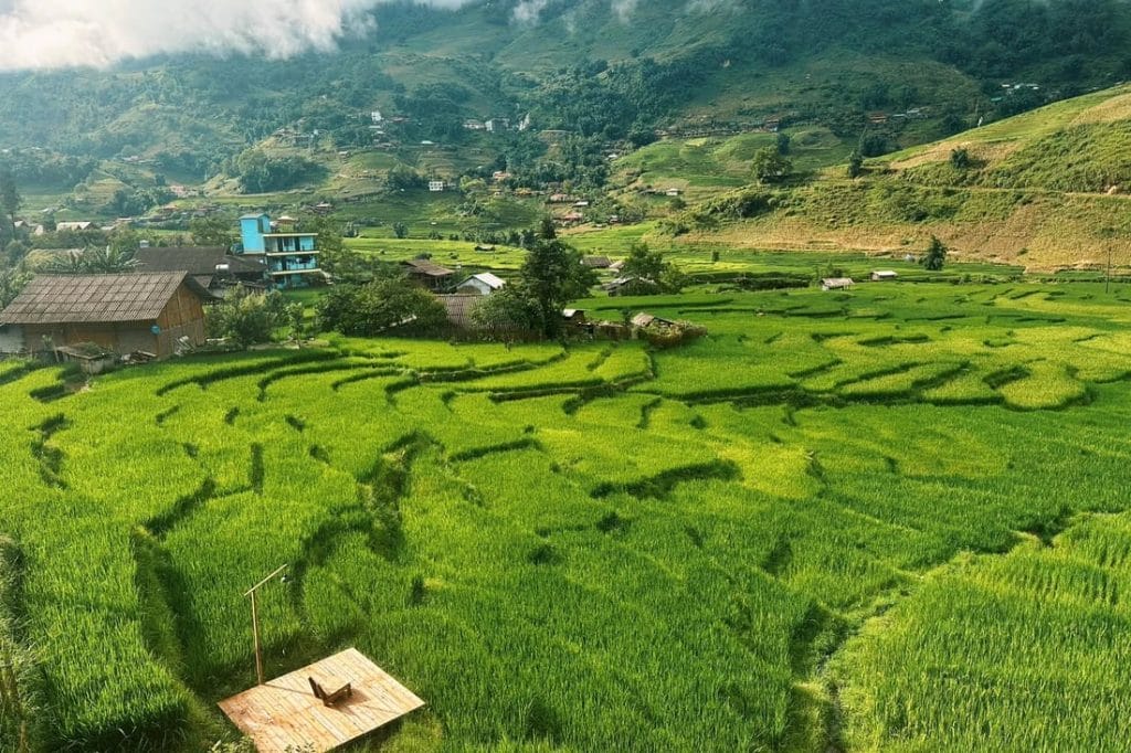 Lịch ruộng bậc thang Sa Pa