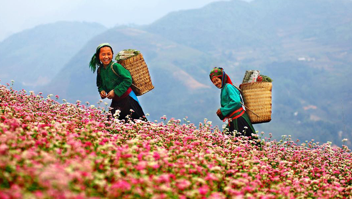 ha giang