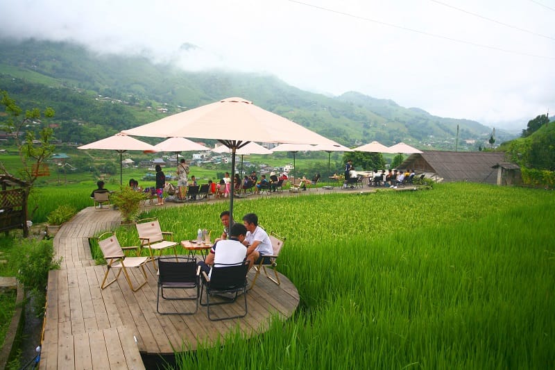 🌾 Top 8 Beautiful Cafes with Rice paddies in Sapa 6 lua coffe sapa