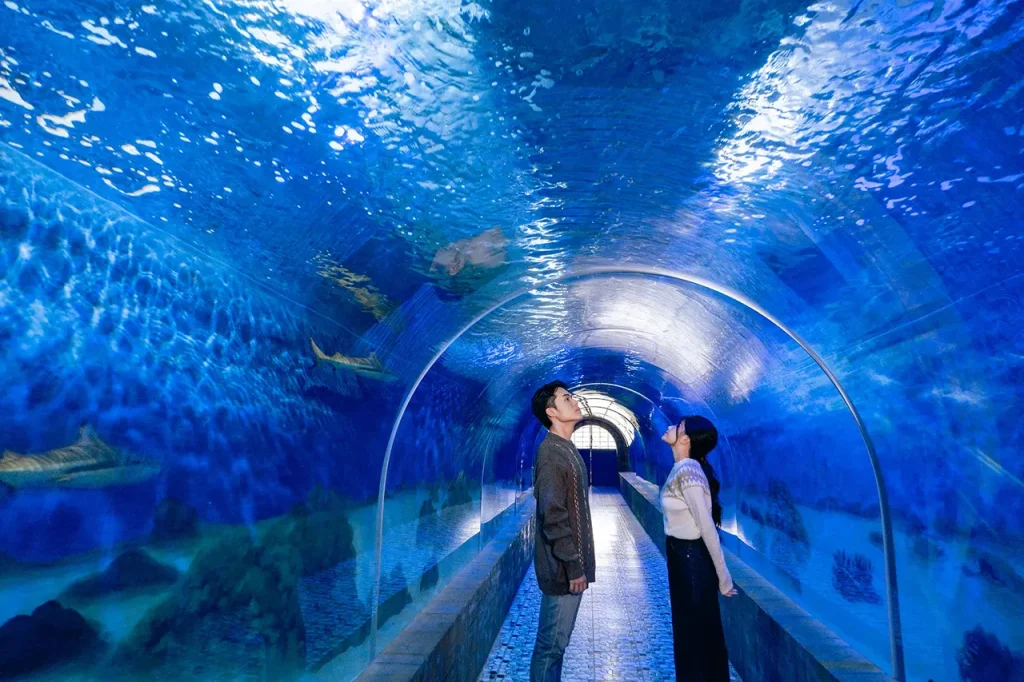 🏖️ 7 Best Places to Visit in Nha Trang: Your Ultimate Coastal Paradise Guide 5 Nha Trang Oceanographic Institute