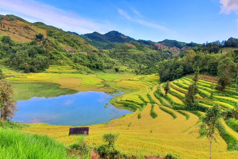 🚌 1 Day Tour Bac Ha from Sa Pa: Sunday Market & Hoang A Tuong Palace Guide 2 Tour Bac Ha from Sa Pa