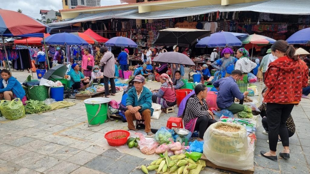 🚌 1 Day Tour Bac Ha from Sa Pa: Sunday Market & Hoang A Tuong Palace Guide 3 cho bac ha lao cai