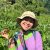 Show Sapa Guide